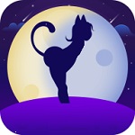 ����ֱ����ȫ����ֻ���